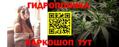 спиды Тверь
