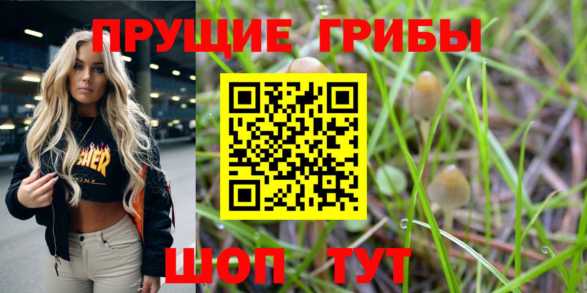 Псилоцибиновые грибы мицелий  Вход с VPN  Луга 